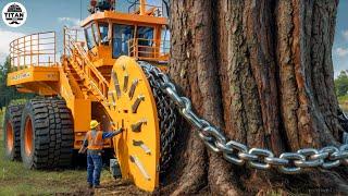 Amazing Fastest Big Tree Cutting Machines | Dangerous Tree Harvester Stump Destroy Machines #36