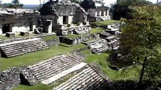 Video of a Dinosaur alive today in the Mayan Jungle