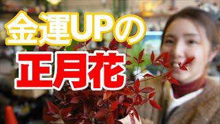 【正月花を飾るといい日】千両を飾ってお金を貯める　開花園チャンネル