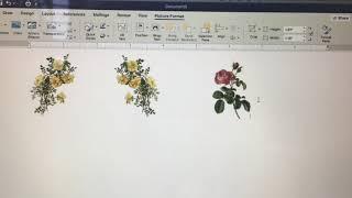 How I Resize and Mirror Images in WORD