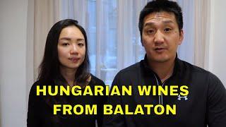 Hungarian Wine: Exotic Wine Travel in Balaton