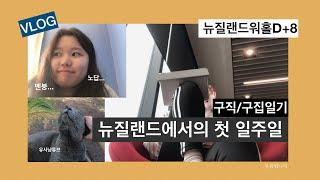[뉴질랜드워홀D+8] 구직과 구집의 일주일! 노답과 멘붕의 연속이에요 ㅠㅠ | 크라이스트처치 | VLOG
