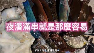 【海野人 Spearfishing 】澎湖夜潛 002 #自由潛水 #漁獵 #打魚 #夢幻魚 #石斑 #老鼠斑 #澎湖 #潛打 #趕海 #紅條 #鸚哥魚 #石老 #土魠魚 #石鯛 #龍蝦