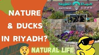  Escape to Riyadh’s Hidden Nature Retreat: Natural Life Cafe! 