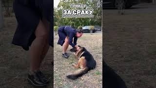 Краще почухай пузо, киця! | Пес Альф - прем'єра СКОРО на ICTV2