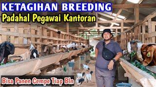 Mas Pandu Ketagihan Breeding Kambing Di Sela² Tugas Kantornya