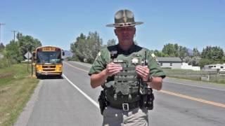 Driving Safety 101: School Bus Safety