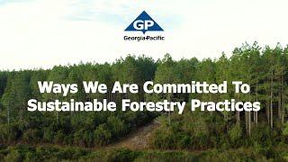 Sustainable Forestry Practices | Georgia-Pacific