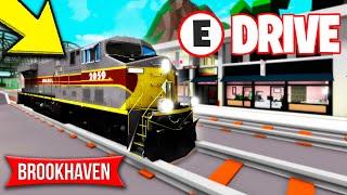 NEW TRAINS at BROOKHAVEN RP!