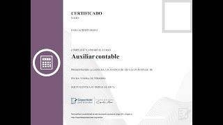 Curso Auxiliar Contable de la página. capacitateparaelempleo.org