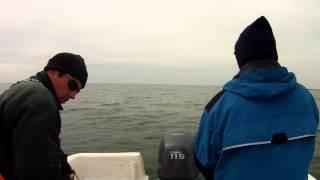 Small boat shrimp trawling. Pulling in the net by hand.