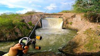 Peces GIGANTES Viven Aquí!! | Pesca en Rio Secreto!