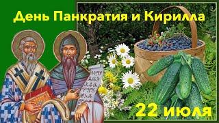 День Панкратия и Кирилла Черничный день или Огуречный праздник ПРИМЕТЫ