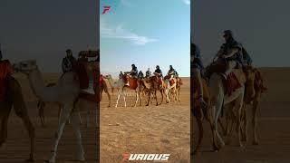 Unforgettable memories with Furious Quad Marrakech -