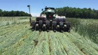 Roller Crimper No-Till Corn Planting