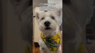 These things are my dog’s MUST have travel items! | #westie #dogtravel #travel