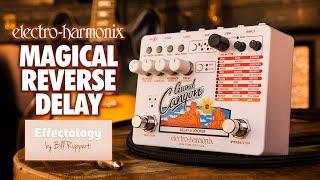 Electro-Harmonix Effectology by Bill Ruppert | Magical Reverse Delay