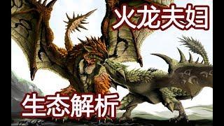 【怪物獵人（魔物獵人）】生態篇：火龍