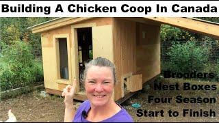 Building a chicken coop for all seasons start to finish- Ontario, Canada