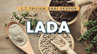 CUAN 1.7 TRILLIUN RUPIAH DARI EKSPOR LADA !!! | US$117 MILLION PEPPER EXPORT VALUE !!!