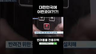 #강아지빌라 #애견주택 #펫하우스 반려견을 위한 인테리어를 갖춘 반려동물전용 펫빌라