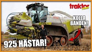 MONSTERHACKEN! – Sveriges första Claas Jaguar 990 Terra Trac