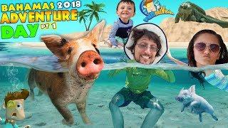 SWIMMING with PIGS in BAHAMAS + IGUANA ISLAND FUNnel Family Exuma Tour Adventure Day #1