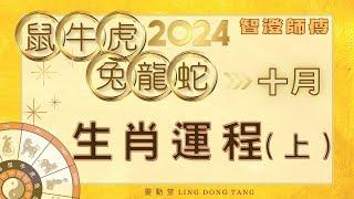 2024年10月運勢 十二生肖 運程預測（上） | 每個生肖也有特別注意事項記得看完｜鼠牛虎兔龍蛇生肖 運程 | 事業  愛情 財運 預測 | 2024增運 運勢 加強