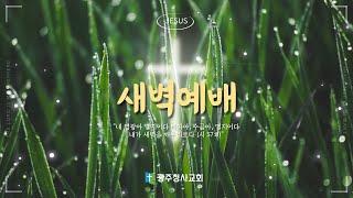 광주청사교회 매일 새벽예배(월~금) | 2024.12.26