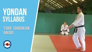 Shodokan Aikido Yondan syllabus - Section 3: Waza vs strikes - pt 2 (explanation)