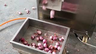 Automatic fruit washing and vegetable peeling machine for onion