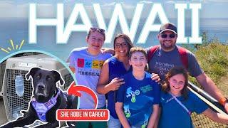 Hawaii Travel Nurse Contract WITH our dog & Family of 5 (2024)