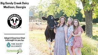 Big Sandy Creek Dairy - Adopt A Cow Live Chat 2023