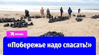 Волонтёры очищают Черноморское побережье от мазута и спасают птиц в Краснодарском крае