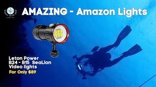 Cheap Amazon Lights - Leton Power B24 & B15 Sealion - Updated Review