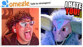 ROASTING FURRIES on OMEGLE!