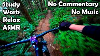 Mountain Bike ASMR POV || 2023