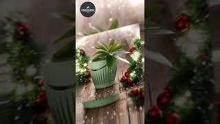 Plastic Round Flower Pots | Indoor & Outdoor Planters for Home & Garden  | Merry Christmas Special