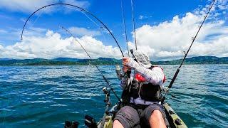 Kayak Fishermen Catch MASSIVE Fish Offshore in Panama (Multi-Species)