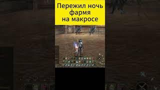 А вас часто сливают на афк? #l2essence #4game #l2 #lineage2 #линейка #заточка #lineage #бездоната