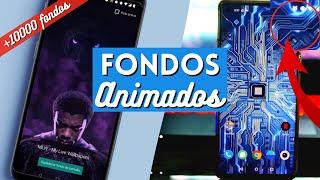 FONDOS DE PANTALLA ANIMADOS EN ANDROID  Poner fondos con movimiento en Android #wallpaper