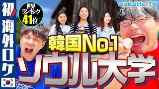 【初！海外】学歴大国、韓国のトップ！ソウル大学校キャンパス調査！【wakatte TV】#1075