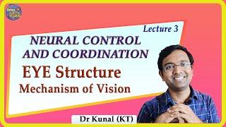 Eye Structure and Mechanism of Vision I NEET I Dr Kunal Tatte (KT)