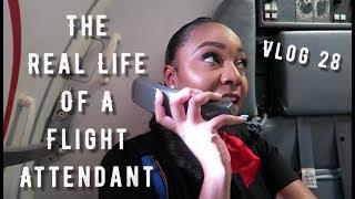 The "Real Life" of a Flight Attendant | Vlog 28 | EAST TO WEST COAST!