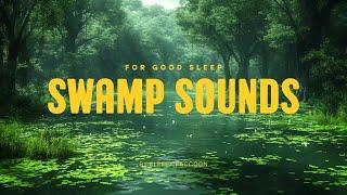 Swamp Sounds | Frogs, Crickets | Night Forest Nature | Sleep, Study, and Stress Relief