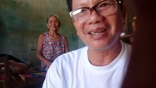 Quy trình bón phân cho cây lúa