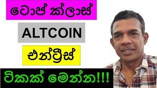 ටොප් ක්ලාස් ALTCOIN එන්ට්‍රීස් ටිකක් මෙන්න!!! | CRYPTO