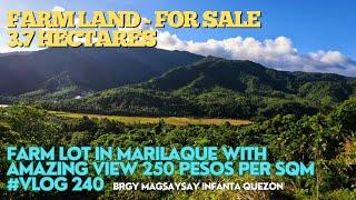 #vlog240 FARM LOT FOR SALE 3.7 HECTARES FREE PATIENT TITLE 250 PESOS PER SQM - AMAZING VIEW