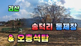 [괴산 송덕리 동제장과 오층석탑] 마을 서낭당과 같은 동제장