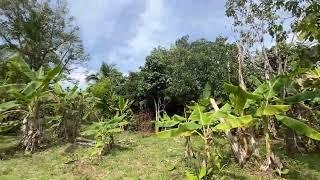 Exceptional 5.5 Rai Mountain View Land for Sale in Thai Mueang, Phangnga